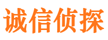 武隆市调查公司